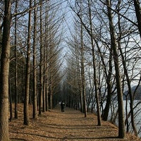 Photo taken at Nami Island by Thanapon S. on 5/13/2012
