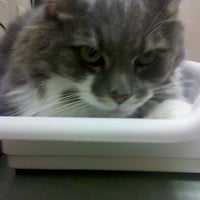 Photo taken at Bowman Animal Hospital and Cat Clinic by Crystal W. on 8/20/2012