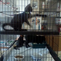 Photo taken at Dr. Domotor&amp;#39;s Animal House Veterinary Hospital by Kate *SuperKate* M. on 8/12/2011