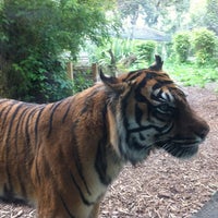 Photo taken at Big Cats by Edward S. on 5/19/2012