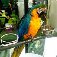 Photo taken at Pets Plus by Cameron F. on 12/10/2011