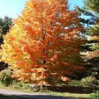 Photo taken at Chippewa Nature Center by Ethan R. on 10/9/2011