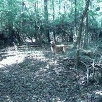 Photo taken at Sandy Creek Nature Center by Jasmine R. on 9/30/2011