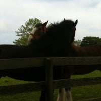Photo taken at Wolffer Estate Stables by hautecakes on 5/29/2011