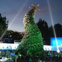 Photo taken at Wholiday Tree Lighting by Maggie M. on 12/31/2011