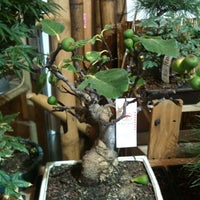 Photo taken at Charlane bonsai by Nicolas G. on 3/26/2011