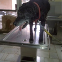 Sanjay Gandhi Animal Hospital - 1 tip from 6 visitors Sanjay Gandhi Animal Hospital - 1 tip from 6 visitors