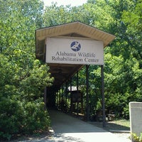 6/26/2012にGRAYがAlabama Wildlife Centerで撮った写真