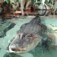 Haus Der Natur Science Museum
