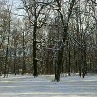 городская роща 2. городская роща 2. городская роща 2. рюмина роща рязань. светлая роща 2.