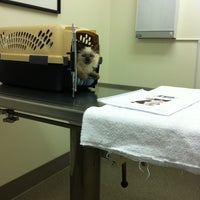 Снимок сделан в Queen Anne Animal Clinic пользователем megan p. 11/28/2011