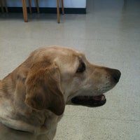 vca almaden animal hospital