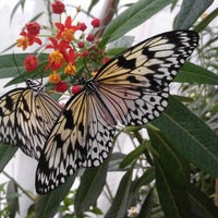 Photo taken at Butterfly World Project by Nick F. on 8/21/2012