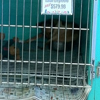 Photo taken at Pet Stop by Libby M. on 7/19/2011