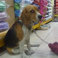 Photo taken at Manoon Pet Shop by Kong on 5/6/2011