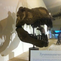 Photo taken at MSU Museum by Joanna P. on 1/8/2012