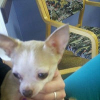 Photo taken at Clear Lake City Vet Clinic by Sara S. on 1/16/2012