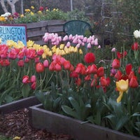 Photo taken at arlington community garden by Jen J. on 3/29/2011
