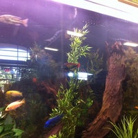 Gaiser hotsell pet store