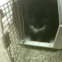 Photo taken at Alief Animal Hospital by Veronica B. on 7/5/2012