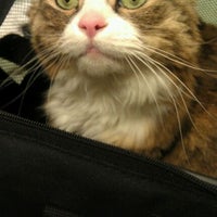 Photo taken at Bowman Animal Hospital and Cat Clinic by Deborah N. on 6/8/2012