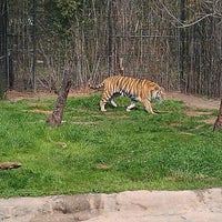 Gardens Purchase Louisiana & Zoo Gardens Purchase Louisiana & Zoo