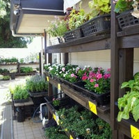 ベルフラワー 瀬谷店 横浜市の生花店 ベルフラワー 瀬谷店 横浜市の生花店