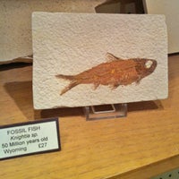 Das Foto wurde bei Mr Woods Fossils von Luke S. am 4/12/2012 aufgenommen