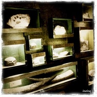 Photo taken at พิพิธภัณฑ์ธรณีวิทยา(ไดโนเสาร์) by EATditor on 7/23/2011