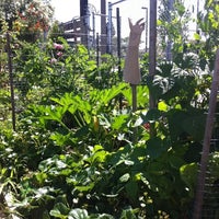 Photo taken at Culver City Community Garden by that girl on 6/26/2011