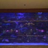 Foto tirada no(a) The Mirage Aquarium por Elsa G. em 1/14/2012