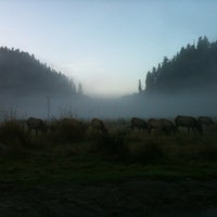 Photo taken at Seattle Public Library - Madrona-Sally Goldmark by Justin on 1/22/2012