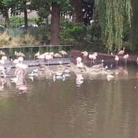 Photo taken at De Flamingo Serre by Marco R. on 8/31/2011