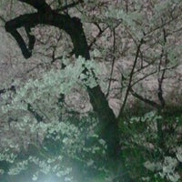 Photo taken at 三春滝桜（東郷公園） by Take S. on 4/6/2012