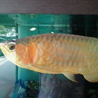 Photo taken at Wu Hu Aquarium by Ant L. on 9/28/2011
