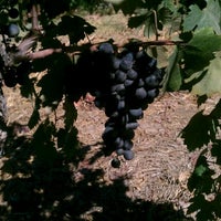Photo taken at Mutt Lynch Winery by A G. on 9/7/2012