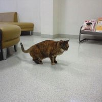 Photo taken at Zephyr Animal Hospital by Miyuki E. on 12/14/2011