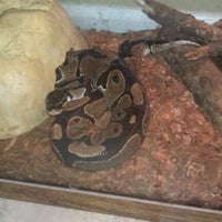 Photo taken at Brookside Snake Rescue by Jane M. on 1/10/2012