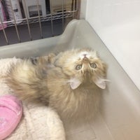 ホームセンター コーナン 江東深川店 江東区の金物屋