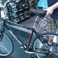 berts bike shop