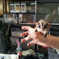 Photo taken at Savera Reptile by Widy K. on 4/30/2012