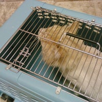 7/28/2012 tarihinde Margot W.ziyaretçi tarafından Healthy Paws Animal Hospital'de çekilen fotoğraf