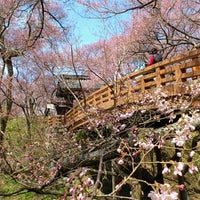 高遠城址公園 Park In 伊那市