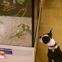 petsmart nicholson lane