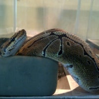 Photo taken at Savera Reptile by Widy K. on 6/7/2012