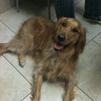 Photo taken at Collier Animal Hospital by Amor L. on 3/5/2012