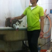 Uniqque Pet Shop - Pasar Minggu - Jakarta, Jakarta