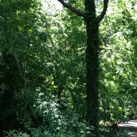 Photo taken at Central Park West &amp;amp; 81st by Bobby G. on 5/31/2012