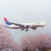 さくらの山公園 Park In 成田市