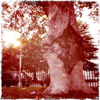 Photo taken at The Vagina Tree by Maeve T. on 9/8/2011